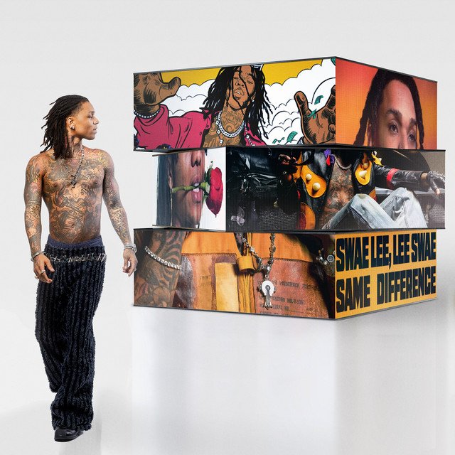 swaelee samedifferance